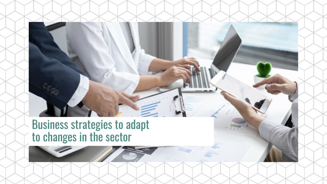 Business strategies to adapt to changes in the sector